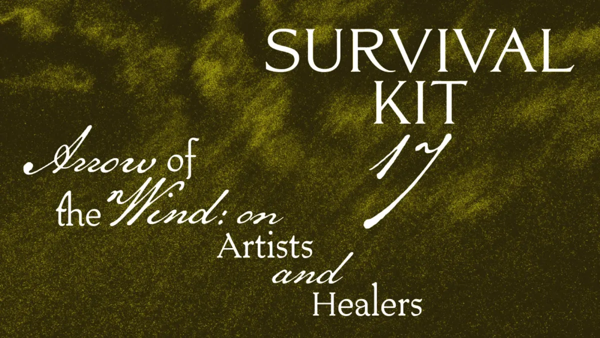 Laikmetīgās mākslas festivāls "Survival Kit 17"