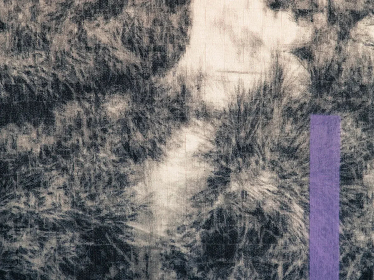 EXHIBITION | IEVA VORKALE | THE INVISIBLE ONES