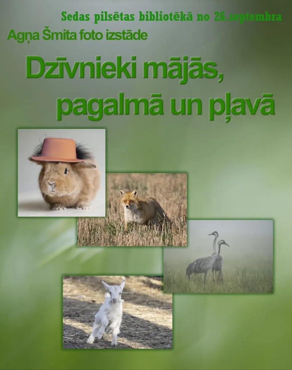 Agņa Šmita foto izstāde "Dzīvnieki mājās, pagalmā un pļavā"