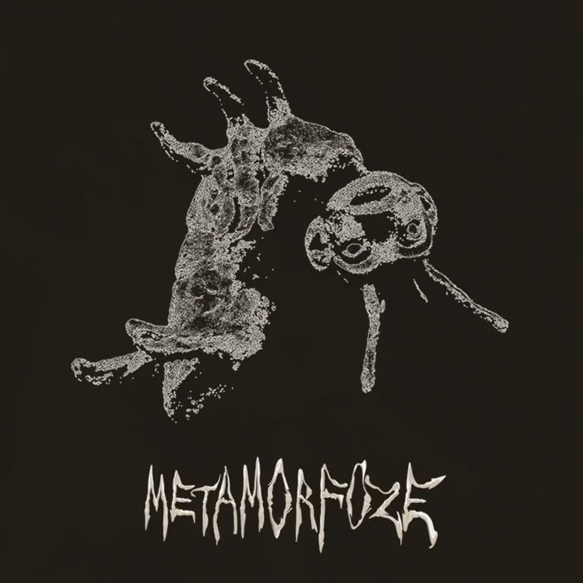 METAMORFOZE