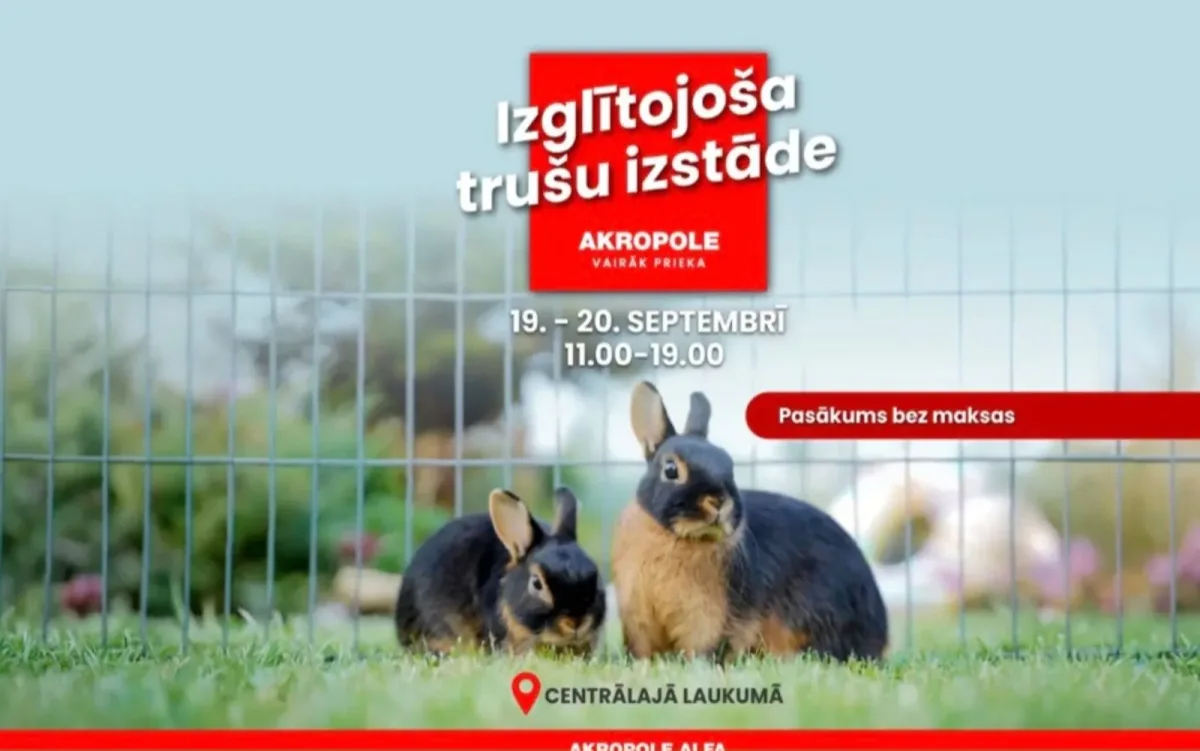 Educational Rabbit Exhibition