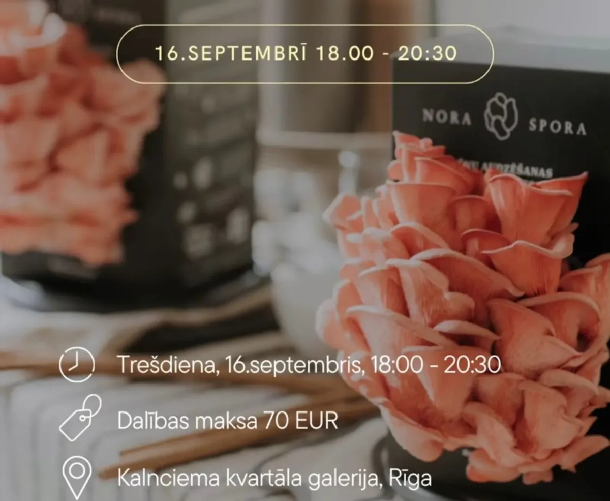 Sēņu audzēšanas meistarklase.