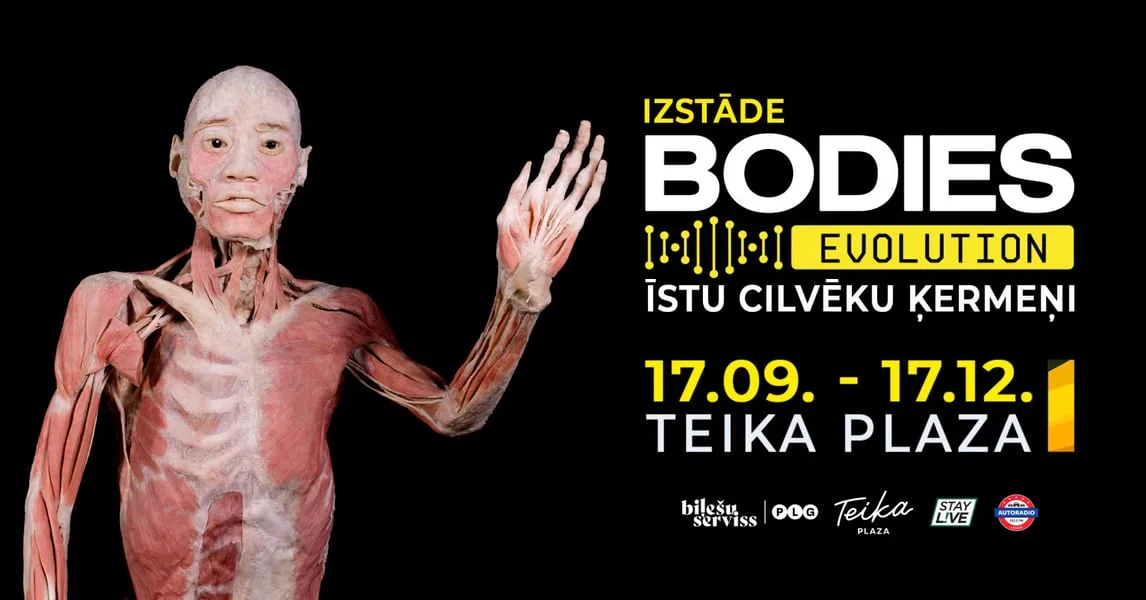 Bodies Evolution