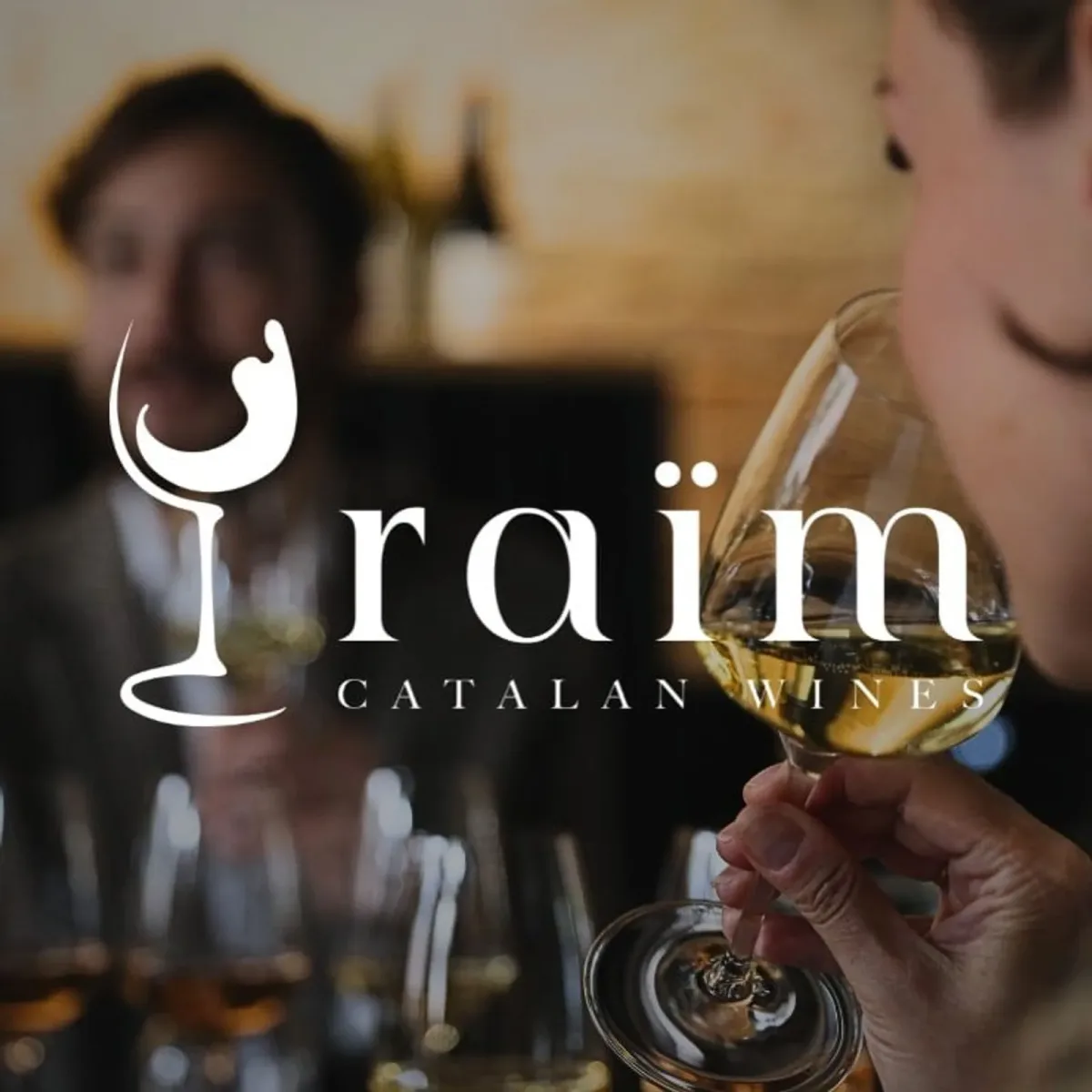 Premium vīnu degustācija draugiem (4 personām)