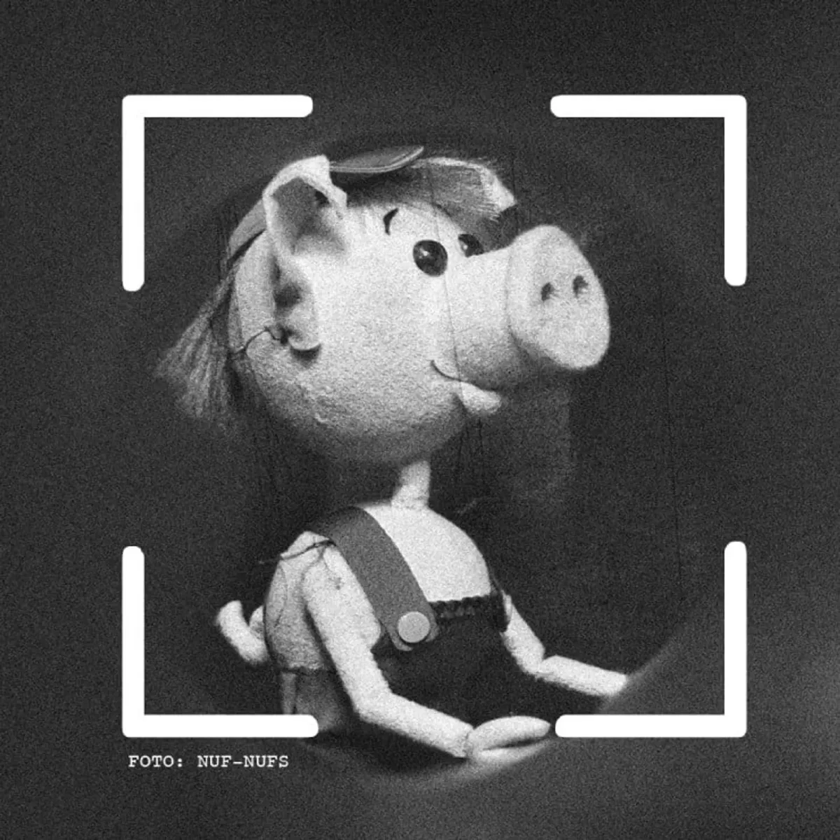 Sivēnam pa pēdām