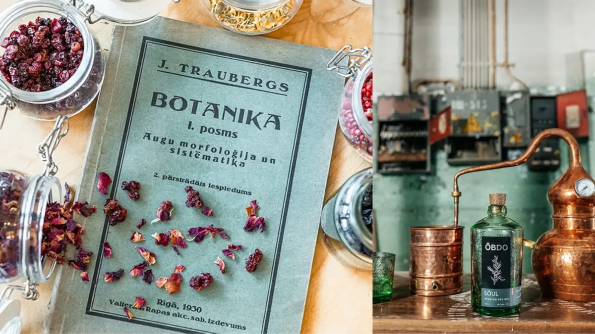Radošā džina veidošanas meistarklase "ŌBDO" džina ražotnē