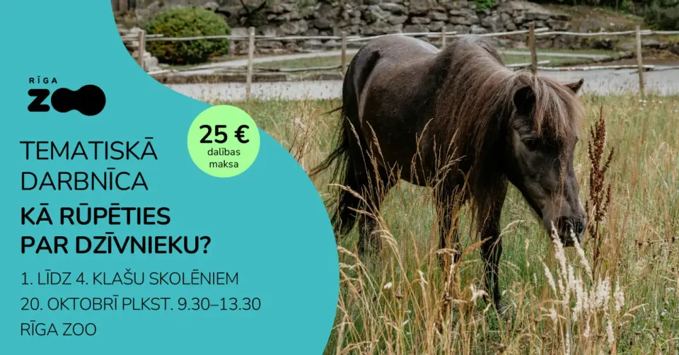 Tematiskā diena Rīga ZOO - 'Kā rūpēties par dzīvniekiem?'
