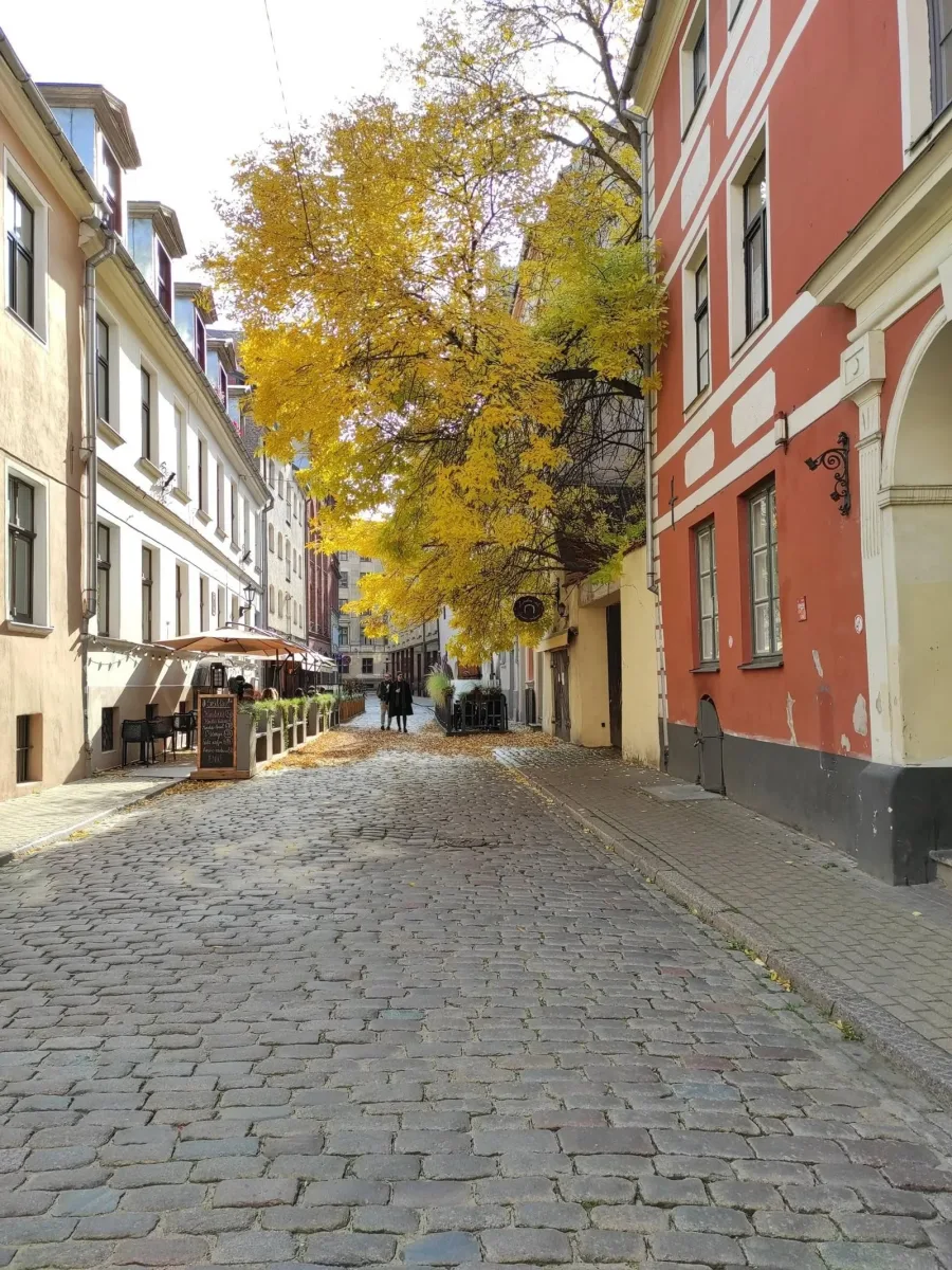 STRAUPE UN VALMIERA